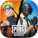 和平精英pubg国际服